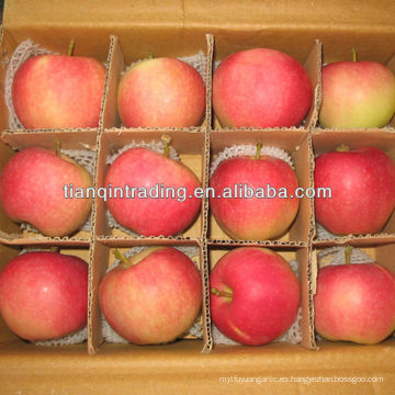 manzana shandong